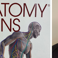 Anatomy Trains, ATS, en manuell terapi - bindevevsmassasje